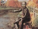 Muddy Waters Chicago Golden Years 5 Chess 2xVinyl LP
