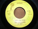 The ESCAPADES -  I TELL NO LIES - ARBEL - 1010