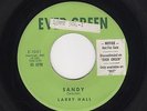 '59 Classic TEEN/Original Label LARRY HALL Sandy/Lovin' Tree EVER GREEN HEAR