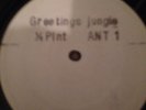 Half Pint 3-Greetings Jungle, Jet Star Records 1994 Jungle Dnb