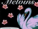 New Music Melvins 