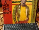 Horace Andy - Natty Dread A Weh She Want LP - New Star - Roots Reggae VG+
