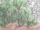 Earth Is Not A Cold Dead Place - Explosions In The Sky (Vinyl Used Very Good)