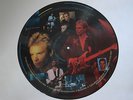 STING PICTURE DISC LP Dream Of The Blue Turtles UK 1985 Limited Edition