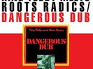 King Tubby Meets Roots Radics - Dangerous Dub