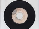 BLANK/ NOTHING TAKES THE PLACE OF YOU  -  PRINCE BUSTER (68 ROCKSTEADY 7