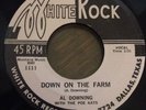 AL DOWNING And The Poe Kats-Down On The Farm 45 Rare Texas R&B Rocker