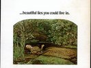 Pearls Before Swine ... Beautiful Lies You Could... vinyl LP  record USA