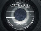 THE WAILERS - SIMMER DOWN  (Ska)  45