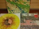 Nothing Tired Of Tomorrow Vertigo Flowers Edition /100 LP Rainbow Splatter RARE