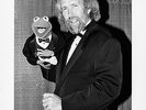 1980s ORIGINAL star photo Kermit the frog sesame street muppet show HOLLYWOOD