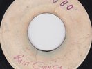 THE RACE FANS - TIME MARCHES ON b/w King Cannon Blank UPSET label BOSS