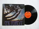 RARE BIRD   EPIC FOREST   2442 101   EX+/VG+  1972 UK A1/B1 1ST PRESS VINYL LP