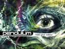 PENDULUM - Hold Your Colour (Triple LP) (G-VG/VG-)