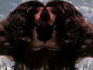Butterfly Dreams (180g), Flora Purim, Vinyl, 8435395500408