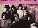 Surrealistic Pillow - Jefferson Airplane (2015, Vinyl NEU) 829421376613
