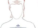 Aladdin Sane  2013 Remastered Version  [VINYL]