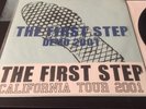 The First Step Hardcore Demo Tour 100 Nyhc Youth Of Today Turning Point Sxe