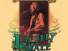 Live at Deeply Vale Festival '78 by Steve Hillage
