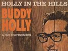 Buddy Holly - 'Holly In The Hills' 1965 UK Coral Mono LP. Ex