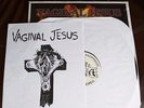 VAGINAL JESUS - Affirmative Apartheid Vinyl LP NEW AxCx