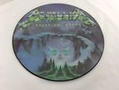 METALLICA *CREEPING DEATH* VERY RARE UK 12 INCH PICTURE DISC