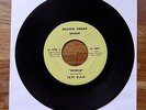 1619 B.A.B. World / For Your Love BROWN SUGAR RECORDS US Press 7