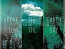 If These Trees Could Talk 