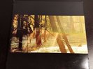Childish Gambino Camp Original Pressing 2 LP Vinyl Limited Edition Double Gate