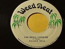Palmer Brothers - Jah Shall Conquer/Roots Stepper Reggae 7
