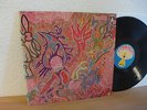 FLUTE & VOICE IMAGINATIONS OF LIGHT 1971 MINT KRAUTROCK