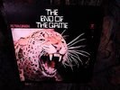 ORIG 1970 RIPPING PSYCH BLUES   PETER GREEN   FLEETWOOD MAC   END OF THE GAME