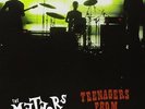THE METEORS TEENAGERS FROM OUTER SPACE NEW & SEALED VINYL LP ALBUM