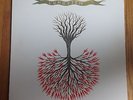 LUNGFISH / LOVE IS LOVE Vinyl LP (2003 Dischord Records, Insert, EX/EX)
