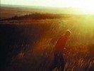 SAVES THE DAY - STAY WHAT YOU ARE (REISSUE) NEW VINYL