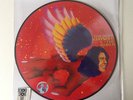 DAVID BOWIE The Man Who Sold The World - LP / Picture Vinyl - RSD 2016 (limited)