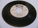 THE PRECISIONS - WHAT WOULD YOU DO / THE LOVE (I FOUND IN YOU) - WILD DJ