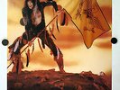 WASP Original authorised Poster 34
