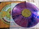 GRATEFUL DEAD AMERICAN BEAUTY RED CLEAR & BLUE SWIRLED VINYL FYE EXCL MINT OOP