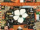 STEVE EARL & DEL MCCOURY BAND**MOUNTAIN **2VINYL