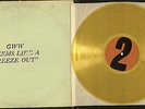 2LPs BOB DYLAN Seems Like A Freeze Out*At Home Vol.2 TMOQ colored vinyl