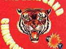 The Beta Band-Champion Versions  (US IMPORT)  Vinyl / 12