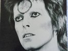 David Bowie rare vinyl Thin White Duke Meets Ziggy + 1983 Convention flyer