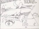 Phantom Import Distribution - Zuma