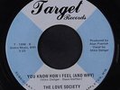 LOVE SOCIETY: You Know How I Feel (and Why) / Let's Pretend 45 (disc close to M