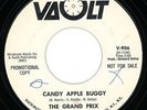 THE GRAND PRIX promo 45: 