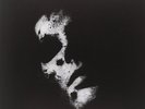 In Solitude - Sister (NEW 12