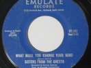 SISTERS FROM THE GHETTO What Made You Change / Somebody  EMULATE soul 45 mp3