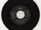 60's Mod Popcorn Latin Exotica Ray Rivera 
