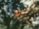 Obscured By Clouds  by Pink Floyd
